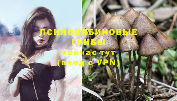 таблы Алзамай