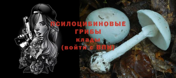 герыч Алексеевка